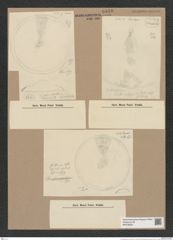 Coscinodiscus sp. (de-Toni-Nr.: Genus 202) Zeichnungen Sammlung Grunow Nr. 8940 (NHMW-BOT-W0378623)